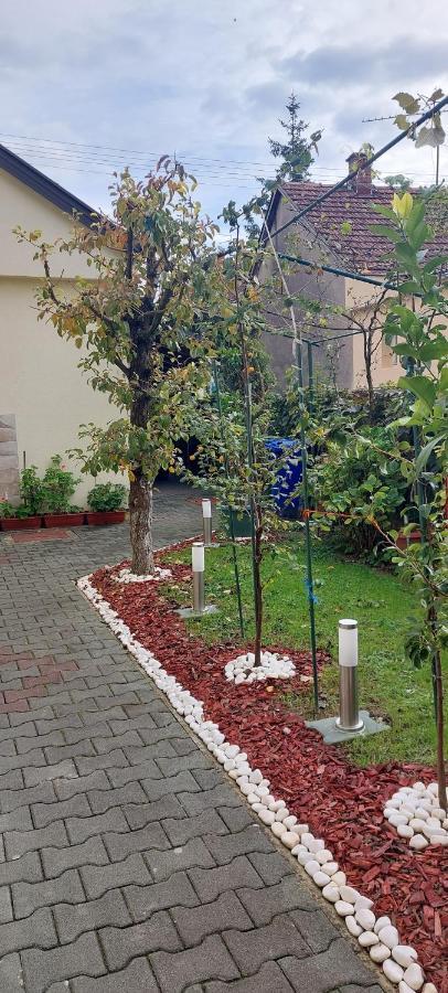 Soba Luic Daire Zupanja Dış mekan fotoğraf